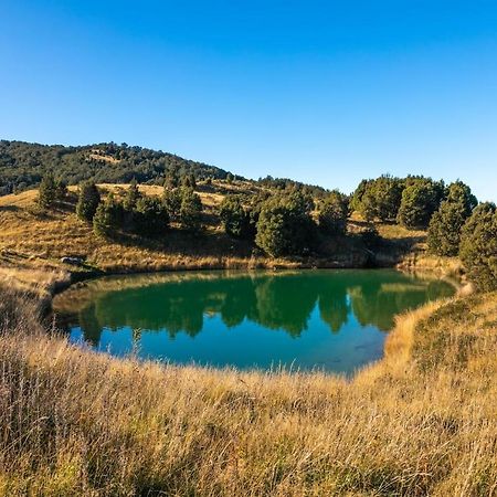 Charlies Cabin - Mt Lyford Luaran gambar