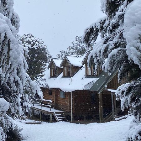 Charlies Cabin - Mt Lyford Luaran gambar