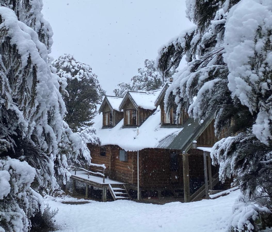 Charlies Cabin - Mt Lyford Luaran gambar